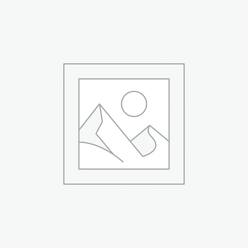 LE VILAIN PETIT CANARD