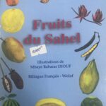 LES FRUITS DU SAHEL