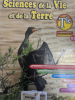 SCIENCE de la VIE et de la TERRE Tle S2