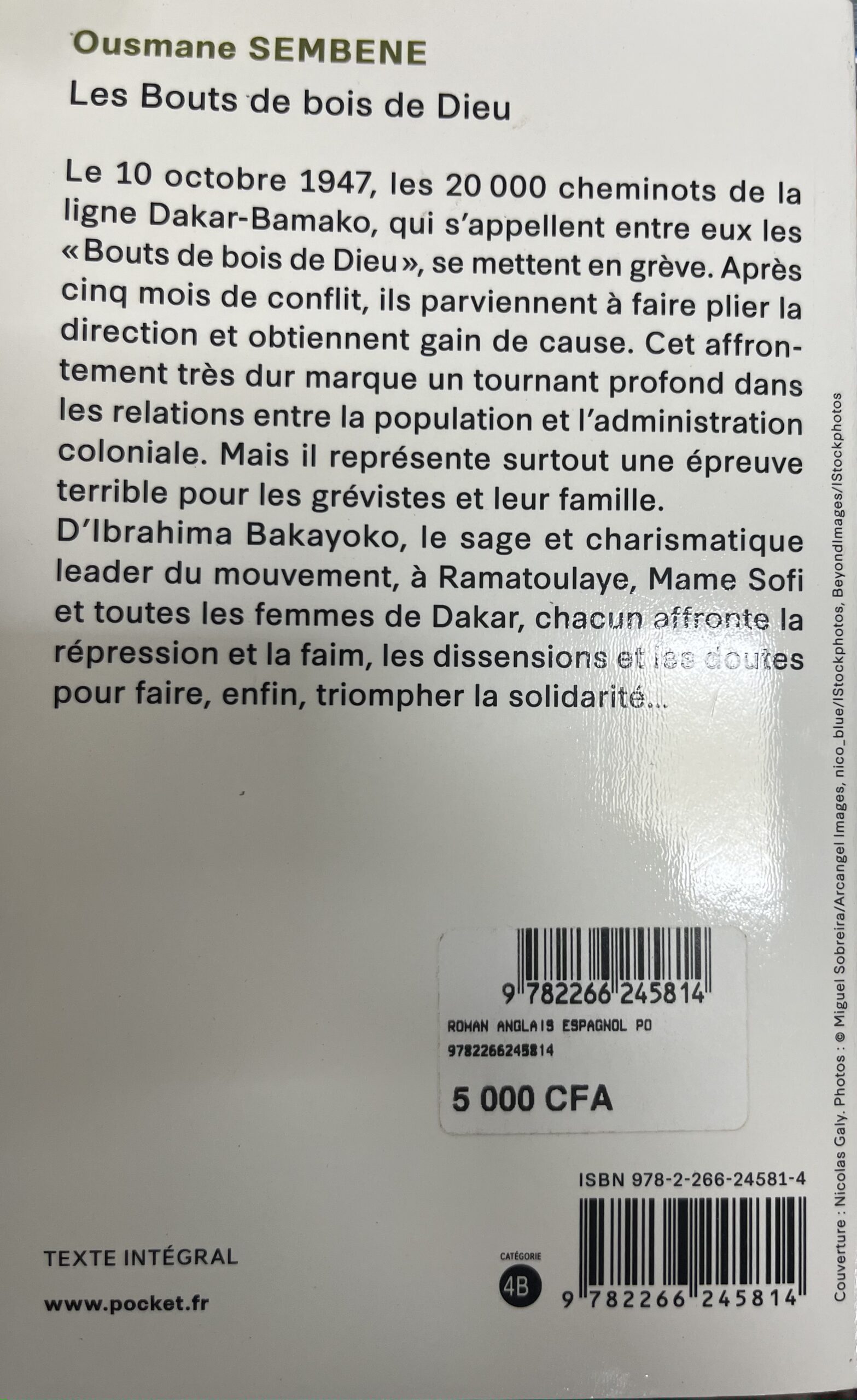 LES BOUTS DE BOIS DE DIEU