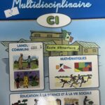 Cahier Multidisciplinaire  CI
