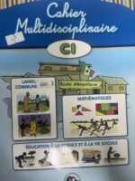 Cahier Multidisciplinaire CI