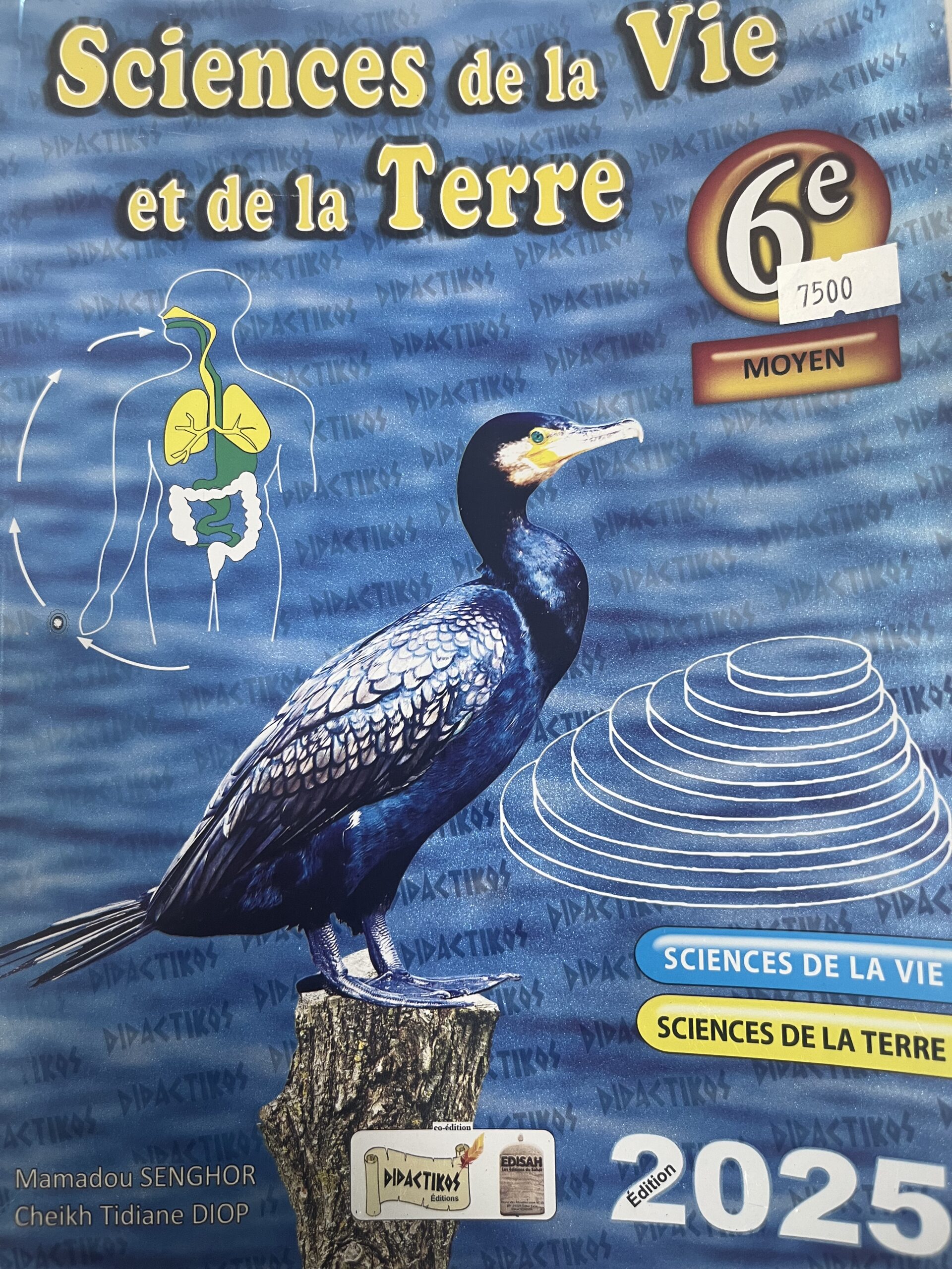 SCIENCE de la VIE et de la TERRE 6e - 2025