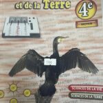 SCIENCE de la VIE et de la TERRE 4e - 2025