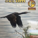 SCIENCE de la VIE et de la TERRE 1er - 2022