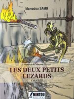 LES DEUX PETITS LEZARDS - les contes de Ndayane