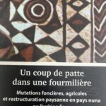 UN COUP DE PATTE DANS UNE FOURMILIÈRE