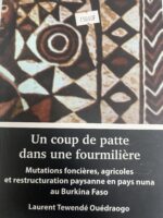 UN COUP DE PATTE DANS UNE FOURMILIÈRE