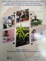 AMELIORER LE CIBLAGE DES POLITIQUES PUBLIQUE POUR UNE ECONOMIE SOLIDE INCLUSIVE ET GENERATRICE D'EMPLOI DECENTS EN AFRIQUE